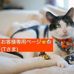 お客様専用ページ🎃👻(Tさま)