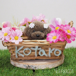 【受注製作】毛糸ぽんぽん トイプードルと秋桜バスケット🌸🧺
