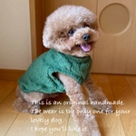 フォレストグリーンアラン★犬服秋冬タンクトップ★ハイネックも可