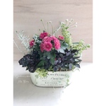 Saison des fleurs ポットマムの寄せ植え
