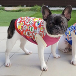 熱中症対策★-16度レトロようちえん赤スーパークールタンク小型犬フレンチブルドッグ服パグ服フレブル服中型犬