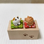 うたたねこ　三毛　茶トラ