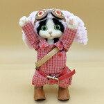 それ行け灰猫ハチワレ団　その拾九