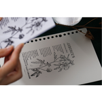 はんこ ハイビスカス Hibiscus/Malvales お花 植物 フォームマウント ボタニカル スタンプ