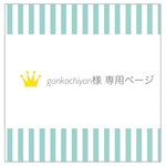【gankochiyan様専用ページ】