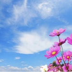 【オーダーメイドご注文品】　本翡翠　オニキス　水晶　アンクレット