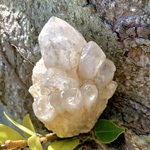 クンダリーニクォーツ(Kundalini Quartz) 天然無研磨 S00023