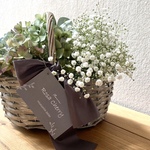 紫陽花農家☆秋色紫陽花のかご盛り☆お試し価格
