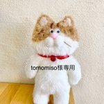 オーダー猫さん