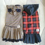 オーダー専用ページ