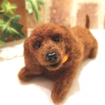 ミニチュアダックスフンド♡