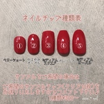 サンプルチップ⭐︎チップ種類表