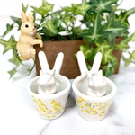 うさぎ うさ耳ミモザ セット