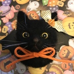 ハロウィン企画🎃送料無料ハロウィンの黒猫A