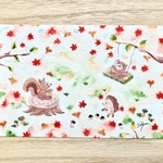 🐿透明水彩画「秋のピクニック」イラストポストカード　2枚セット  リス　りす　クマ　ハリネズミ　秋　紅葉🍁