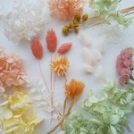 "シトラス"　プリザーブドフラワー＆ドライフラワーパック