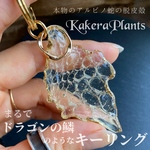 ✶ドラゴンの鱗みたいなキーリング✶Fragment of dragon scales