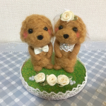 ❤️トイプードルちゃんの小さなウエディング❤️