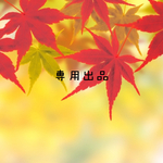 専用出品