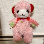 まりる様専用ページ スイカキャンディちゃん テディベア ぬいぐるみ
