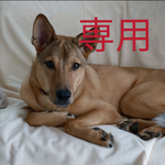Hapi*Lala様専用です。