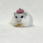 ベレー帽 ピンク