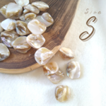 ：8pcs：import  shell beads 〈S〉シェル マザーオブパール