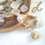 ：8pcs：import shell beads 〈L〉シェル マザーオブパール