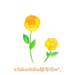 ichikashiha様専用⋈*｡ﾟ