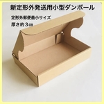 送料無料❣️5枚【⭐️⭐️⭐️】新定型外対応発送用小型ダンボール