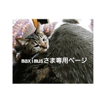 maximus様専用ページ