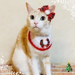 送料無料☆彡クリスマスエプロン風〜猫の首輪