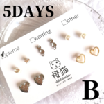 【5DAYS】5ペアセット Bタイプ (ピアスorイヤリング)