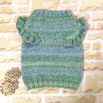 SALE💕犬服　フリルセーター（グリーン）