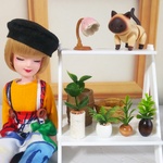 小さな観葉植物セット⑩ ハンドメイド ミニチュア
