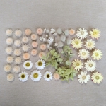お花たっぷり! ナチュラル系 花材セット