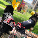 犬服　腰巻きスカート　サイズオーダー 　送料無料　＃1103【トイプー ポメラニアン ヨーキー チワワ ダックス 】　ドッグウエア　ドッグウェア