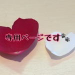 専用ページです【女のコ.誕生日.バースデー.ケーキ.4月.ニット帽.猫.被り物.コスプレ.毛糸