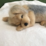 愛犬ちゃんそっくり人形(Mサイズ)オーダー作品:mix犬