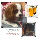 conatsub 様専用☻໊*೨⋆*✩
