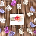 大きめ金具 左向き ツヤぷり 赤金魚 ワニ口ヘアクリップ