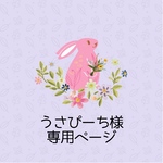 うさぴーち様専用ページ