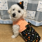 可愛いお帽子付きハロウィンのタンクトップ