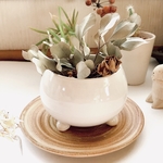 観葉植物用鉢　受け皿付き