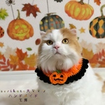🧡ハロウィンスタイ🧡　オレンジ🎃　Mサイズ✨