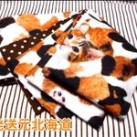 ●お羊屋三毛猫柄半幅帯新品リバ長尺