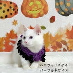 💜ハロウィンスタイ💜　パープル🍬　Sサイズ✨