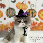 💜ハロウィンミニハット💜　パープル🎀💜
