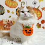 🎃かぼちゃポシェット🎃