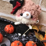 ハロウィン🎃ねこの魔女さん